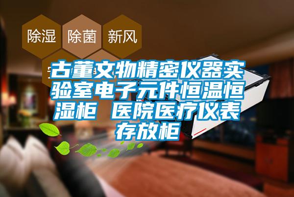 古董文物精密儀器實驗室電子元件恒溫恒濕柜 醫院醫療儀表存放柜