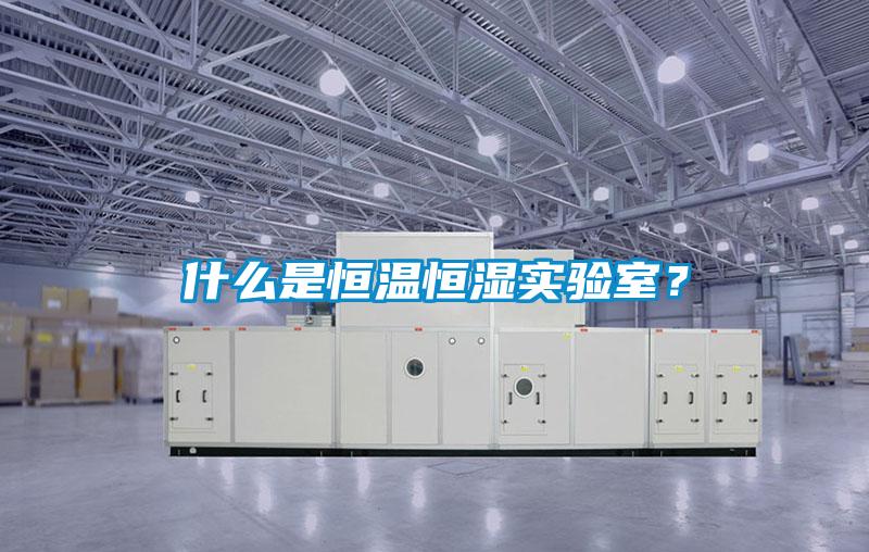 什么是恒溫恒濕實驗室?
