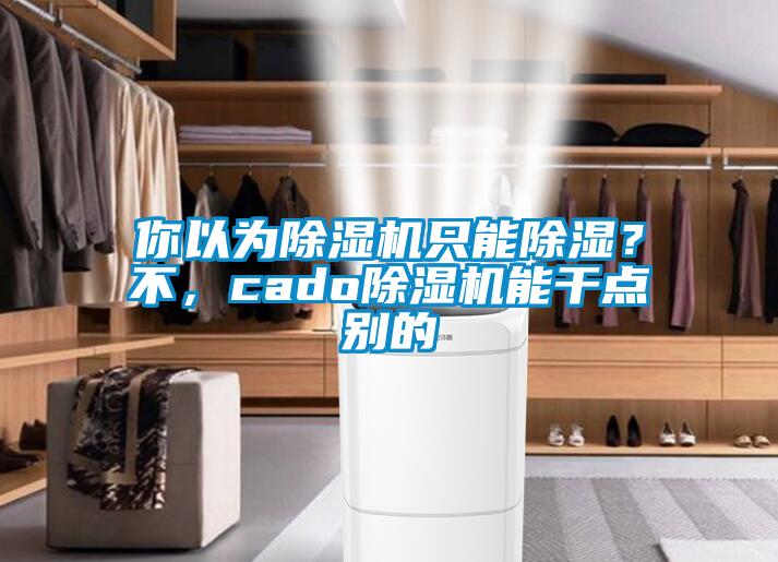 你以為除濕機(jī)只能除濕?不,cado除濕機(jī)能干點別的