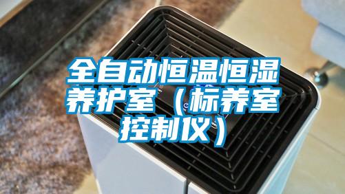 全自動恒溫恒濕養護室(標養室控制儀)