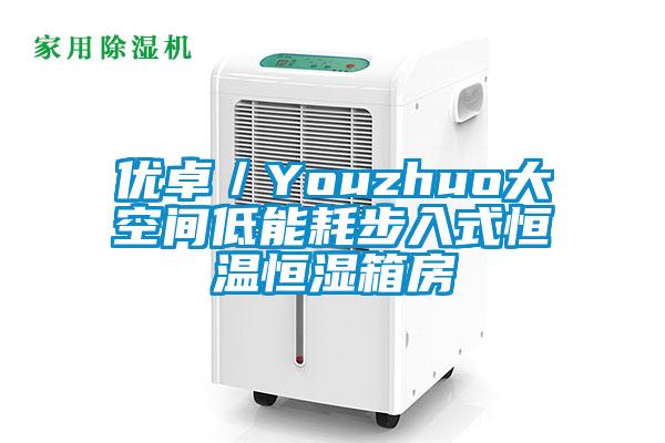 優卓/Youzhuo大空間低能耗步入式恒溫恒濕箱房