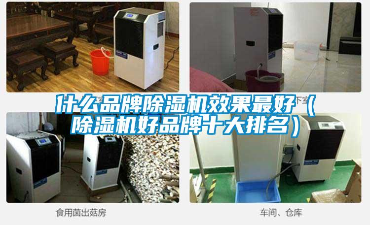 什么品牌除濕機(jī)效果最好(除濕機(jī)好品牌十大排名)