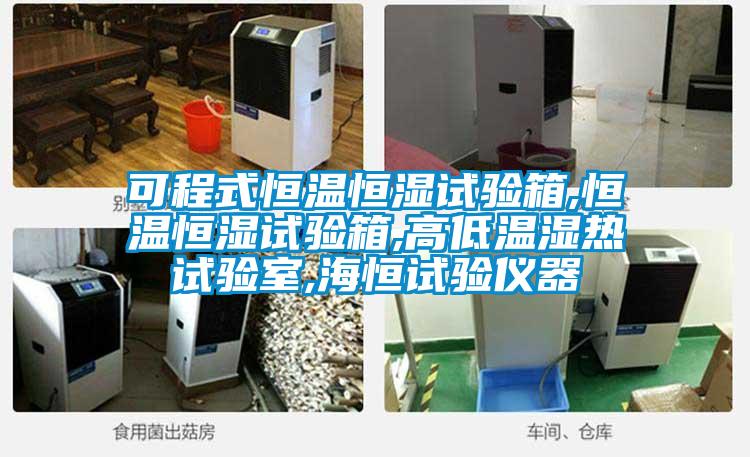 可程式恒溫恒濕試驗箱,恒溫恒濕試驗箱,高低溫濕熱試驗室,海恒試驗儀器