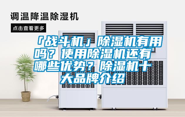 「戰斗機」除濕機有用嗎?使用除濕機還有哪些優勢?除濕機十大品牌介紹