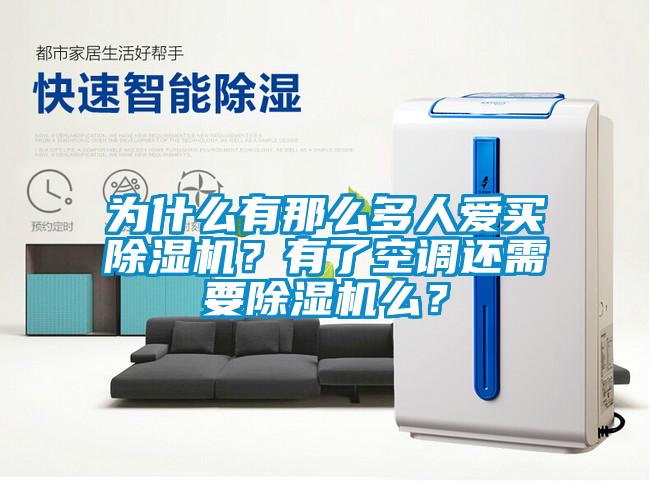 為什么有那么多人愛買除濕機?有了空調還需要除濕機么?