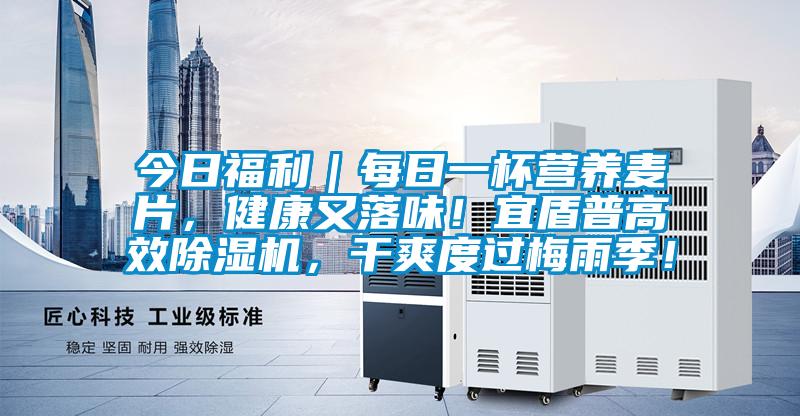 今日福利|每日一杯營養麥片,健康又落味!宜盾普高效除濕機,干爽度過梅雨季!