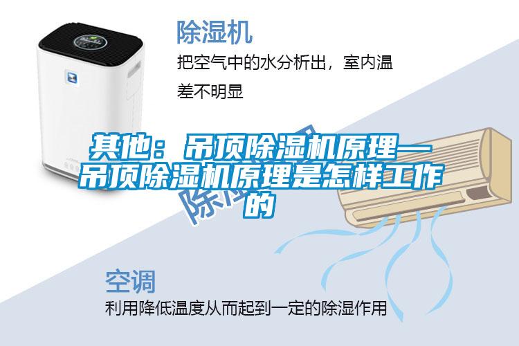 其他:吊頂除濕機原理—吊頂除濕機原理是怎樣工作的