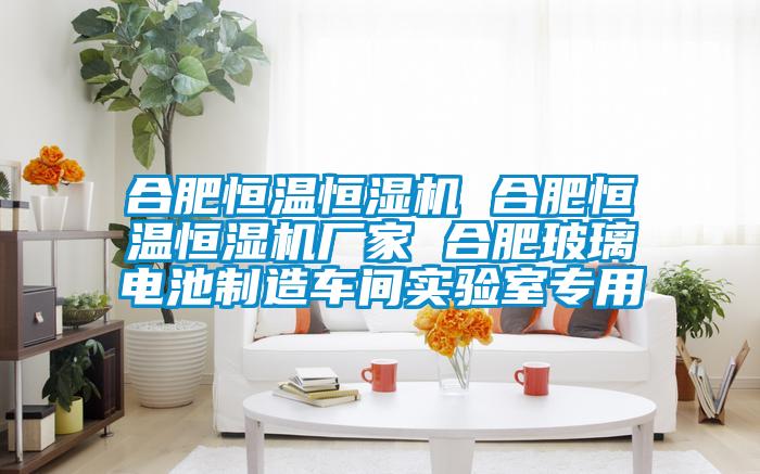 合肥恒溫恒濕機(jī) 合肥恒溫恒濕機(jī)廠家 合肥玻璃電池制造車(chē)間實(shí)驗(yàn)室專(zhuān)用