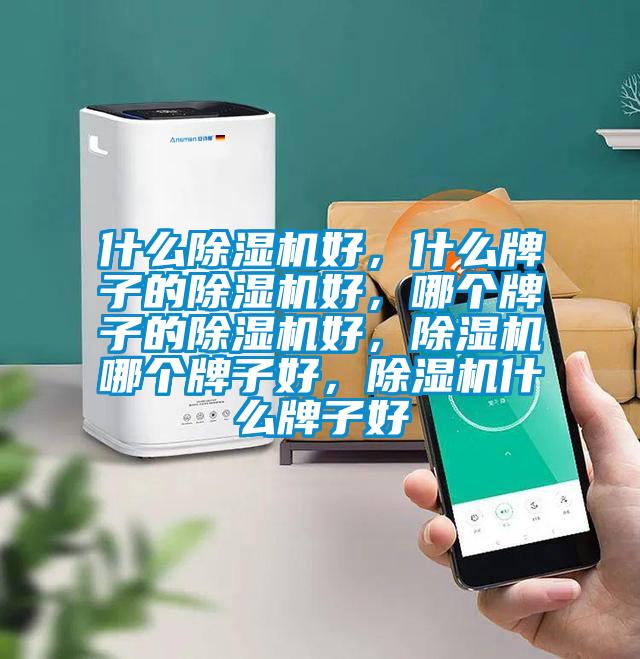 什么除濕機(jī)好，什么牌子的除濕機(jī)好，哪個牌子的除濕機(jī)好，除濕機(jī)哪個牌子好，除濕機(jī)什么牌子好