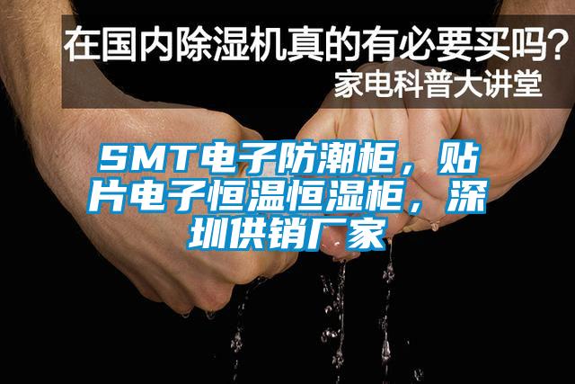 SMT電子防潮柜，貼片電子恒溫恒濕柜，深圳供銷廠家