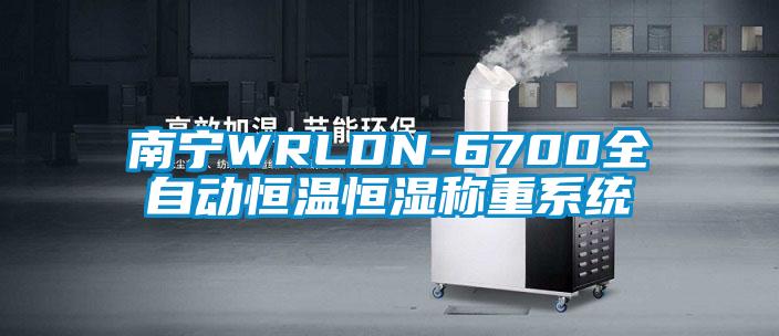 南寧WRLDN-6700全自動恒溫恒濕稱重系統