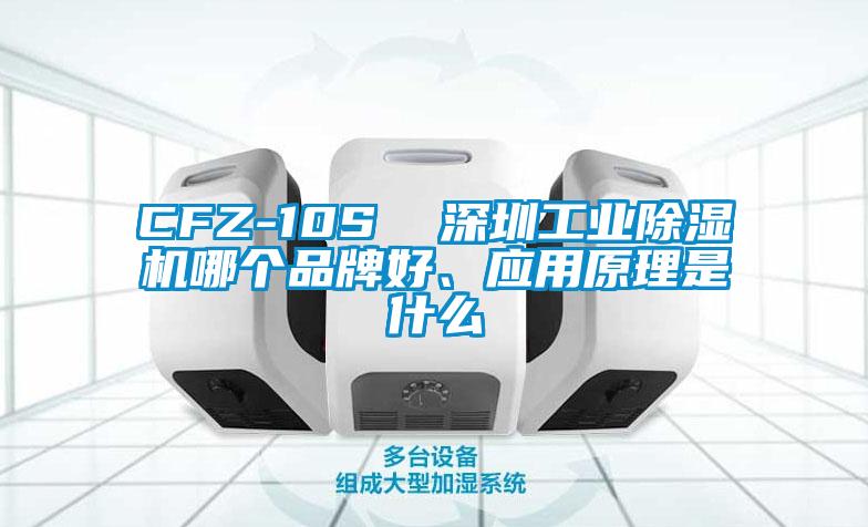 CFZ-10S 深圳工業(yè)除濕機哪個品牌好、應用原理是什么