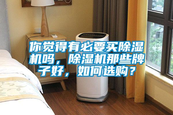 你覺得有必要買除濕機嗎，除濕機那些牌子好，如何選購？