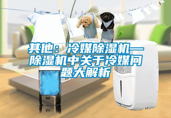 其他:冷媒除濕機—除濕機中關于冷媒問題大解析