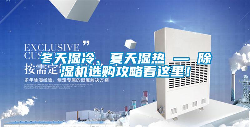 冬天濕冷、夏天濕熱 — 除濕機選購攻略看這里！