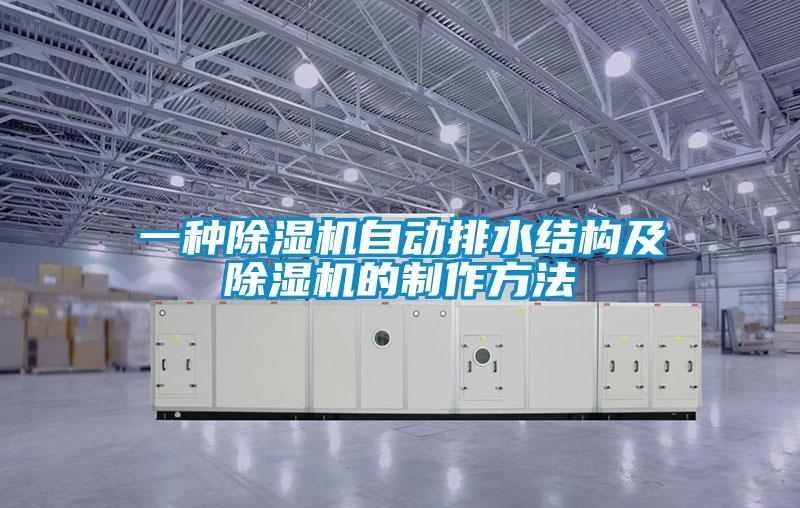 一種除濕機自動排水結構及除濕機的制作方法