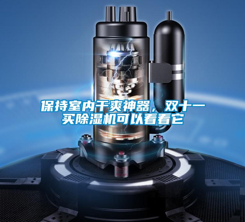 保持室內干爽神器,雙十一買除濕機可以看看它