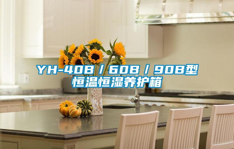 YH-40B／60B／90B型恒溫恒濕養護箱