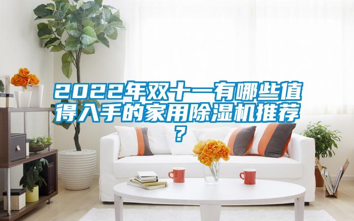 2022年雙十一有哪些值得入手的家用除濕機(jī)推薦?