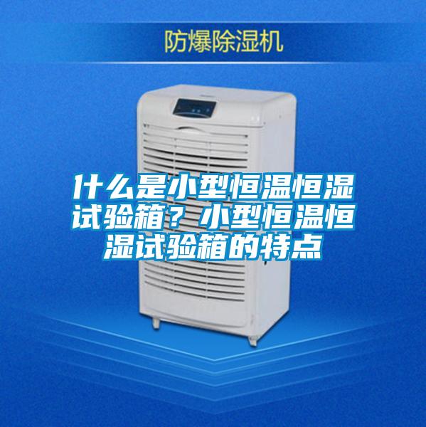 什么是小型恒溫恒濕試驗箱?小型恒溫恒濕試驗箱的特點