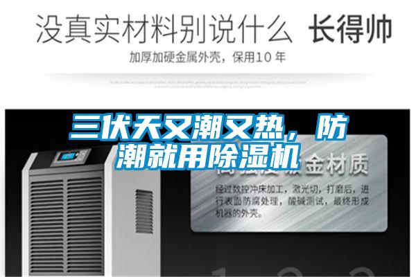 三伏天又潮又熱,防潮就用除濕機