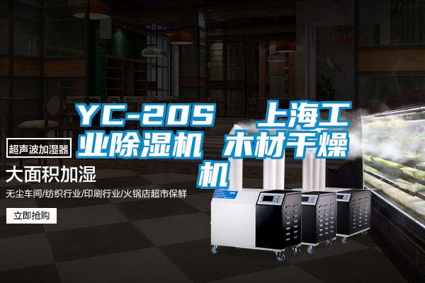 YC-20S 上海工業(yè)除濕機(jī) 木材干燥機(jī)