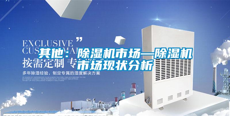 其他：除濕機市場—除濕機市場現狀分析