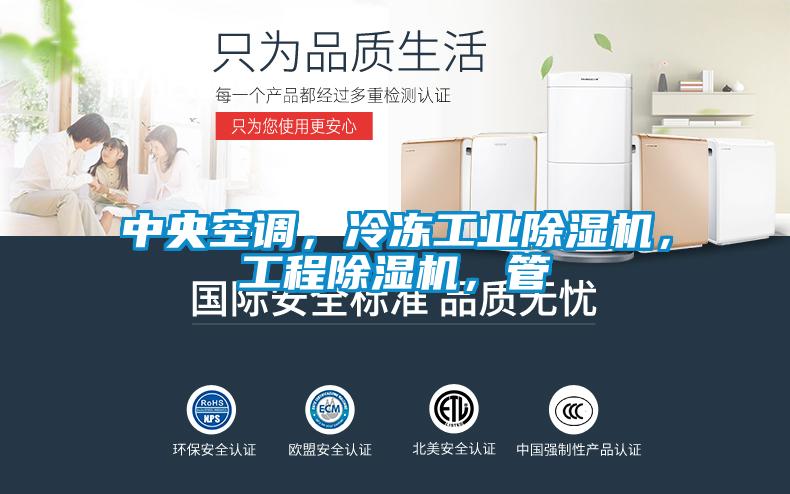 中央空調,冷凍工業除濕機,工程除濕機,管