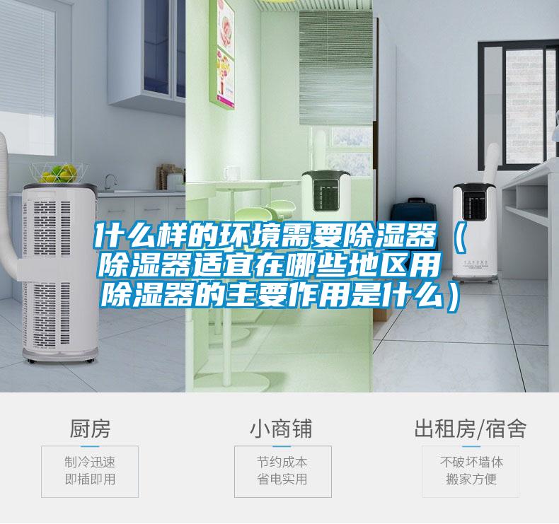 什么樣的環(huán)境需要除濕器(除濕器適宜在哪些地區(qū)用 除濕器的主要作用是什么)