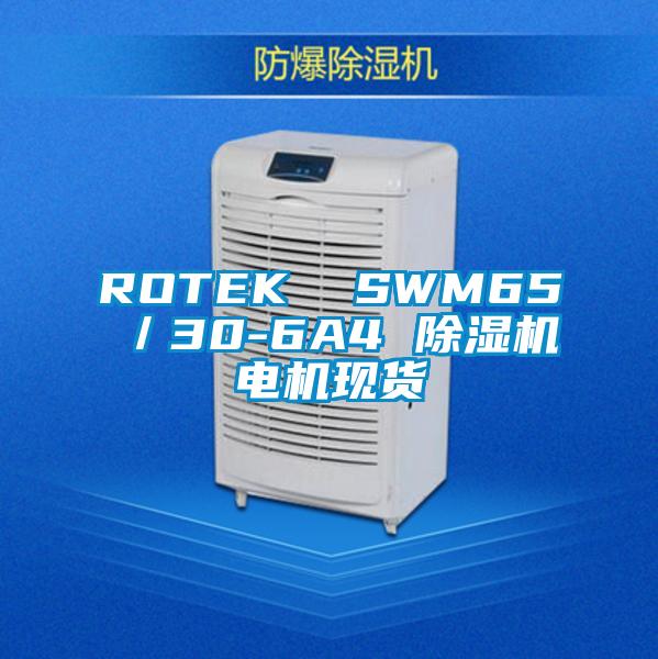ROTEK SWM65/30-6A4 除濕機(jī)電機(jī)現(xiàn)貨