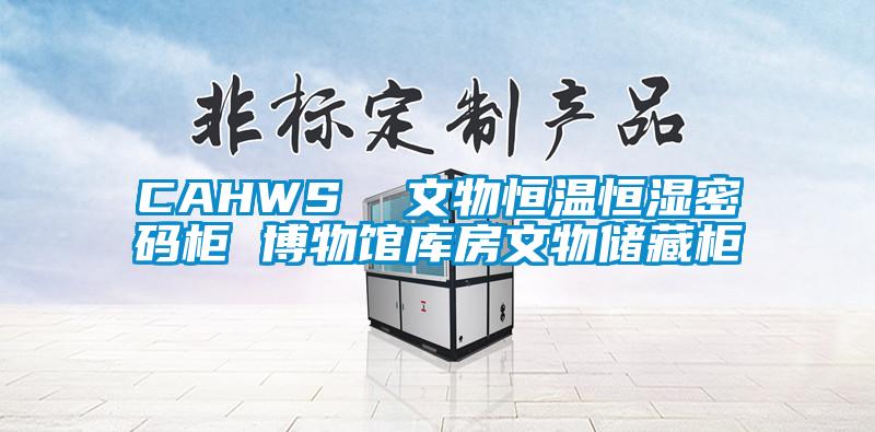CAHWS 文物恒溫恒濕密碼柜 博物館庫房文物儲藏柜