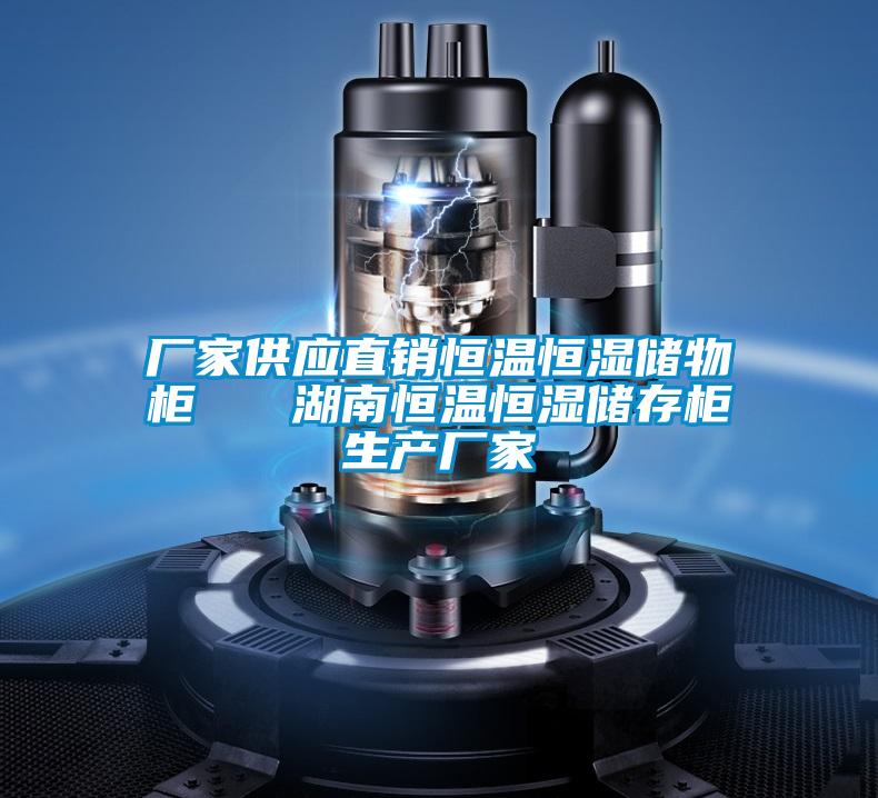 廠家供應(yīng)直銷恒溫恒濕儲物柜 湖南恒溫恒濕儲存柜生產(chǎn)廠家
