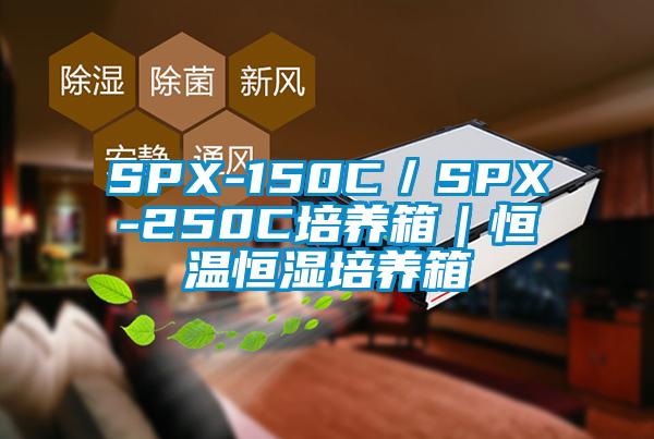 SPX-150C/SPX-250C培養箱|恒溫恒濕培養箱