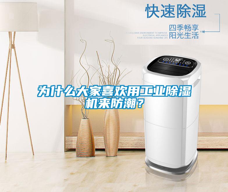 為什么大家喜歡用工業除濕機來防潮?