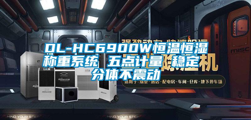 DL-HC6900W恒溫恒濕稱重系統(tǒng) 五點(diǎn)計量 穩(wěn)定 分體不震動