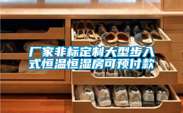 廠家非標定制大型步入式恒溫恒濕房可預付款