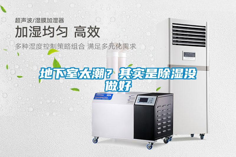 地下室太潮？其實是除濕沒做好