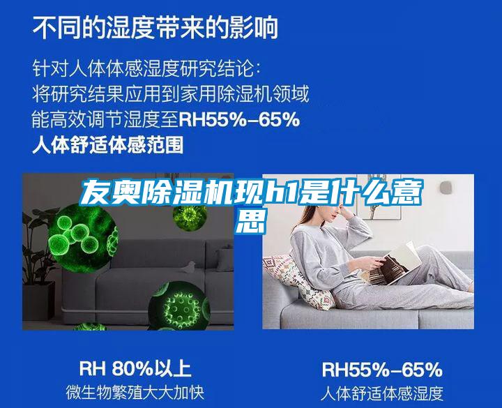 友奧除濕機現h1是什么意思