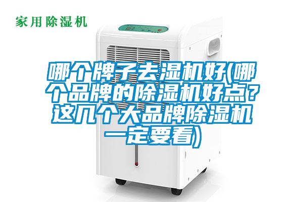 哪個(gè)牌子去濕機(jī)好(哪個(gè)品牌的除濕機(jī)好點(diǎn)？這幾個(gè)大品牌除濕機(jī)一定要看)