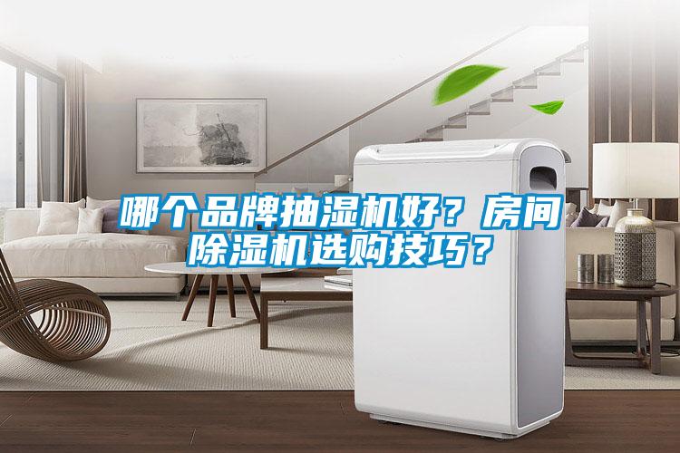 哪個品牌抽濕機好？房間除濕機選購技巧？