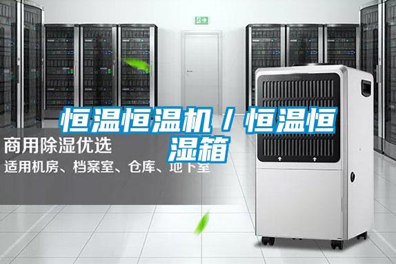 恒溫恒溫機/恒溫恒濕箱