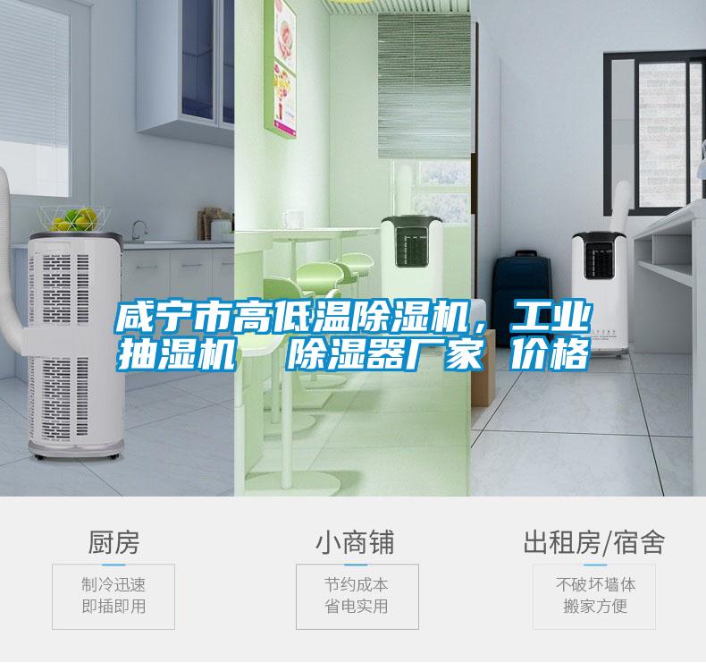 咸寧市高低溫除濕機,工業抽濕機 除濕器廠家 價格