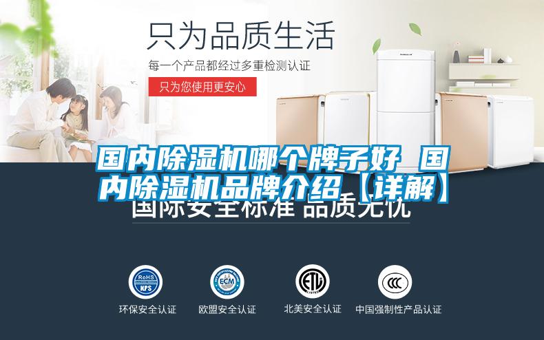 國內除濕機哪個牌子好 國內除濕機品牌介紹【詳解】