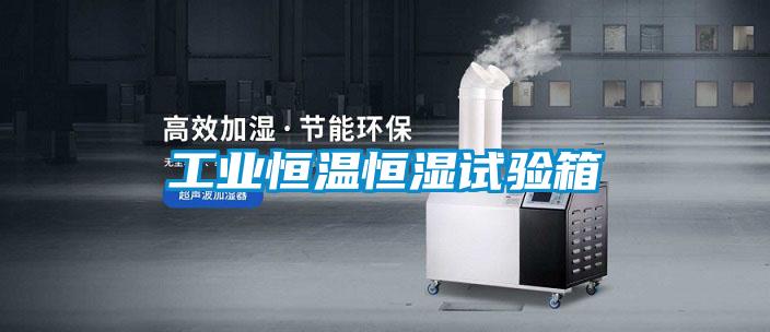 工業恒溫恒濕試驗箱