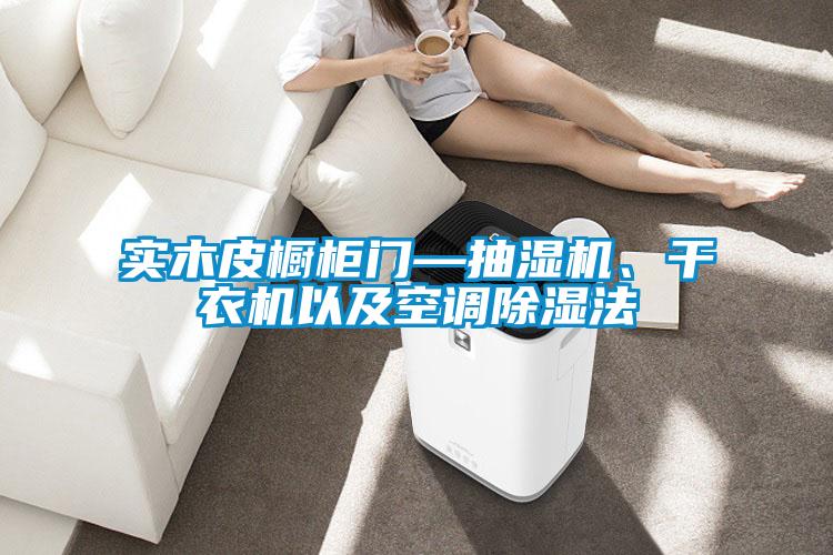 實木皮櫥柜門—抽濕機、干衣機以及空調除濕法