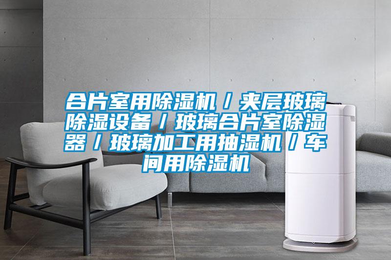 合片室用除濕機(jī)/夾層玻璃除濕設(shè)備/玻璃合片室除濕器/玻璃加工用抽濕機(jī)/車間用除濕機(jī)