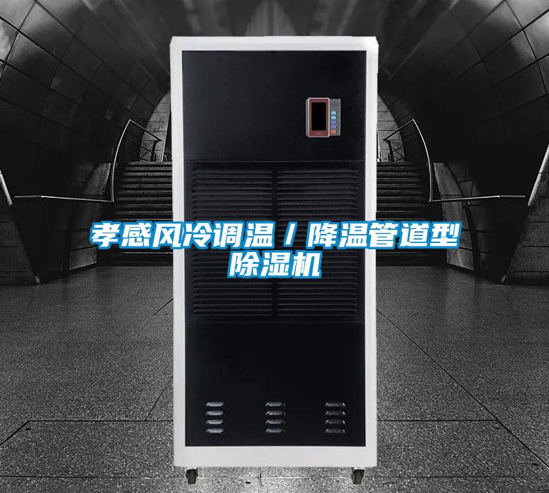孝感風冷調溫/降溫管道型除濕機