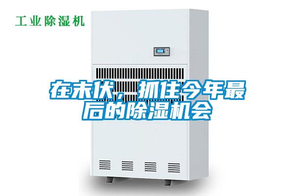 在末伏,抓住今年最后的除濕機會