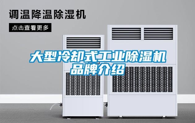 大型冷卻式工業除濕機品牌介紹