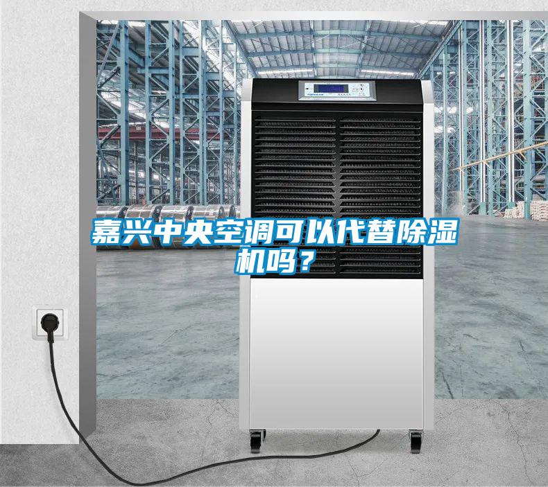 嘉興中央空調(diào)可以代替除濕機(jī)嗎?